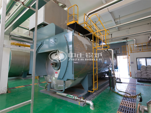 12噸WNS系列冷凝式燃?xì)庹羝仩t項(xiàng)目